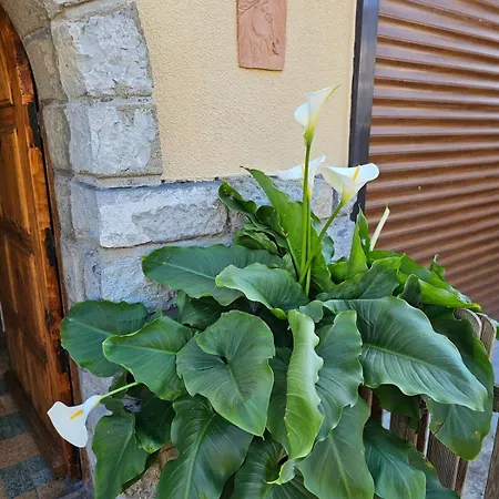 Ferienhaus L'horizon De La Cite